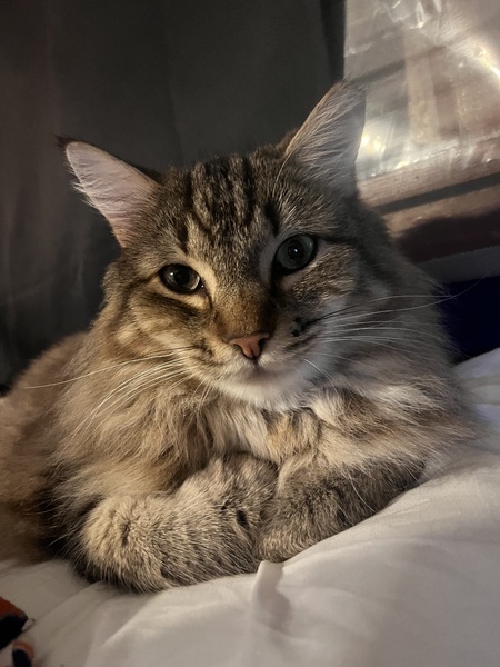 Entry image for Captain. Clicking this image will show a larger photo