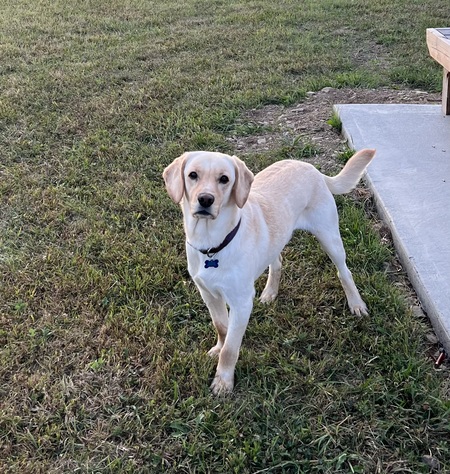 Entry image for Chance . Clicking this image will show a larger photo