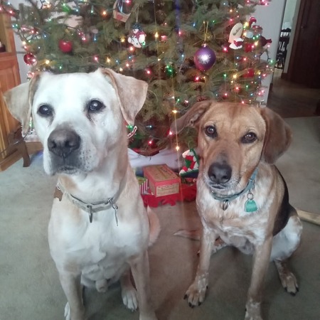 Entry image for Charlie Brown & Hannah. Clicking this image will show a larger photo