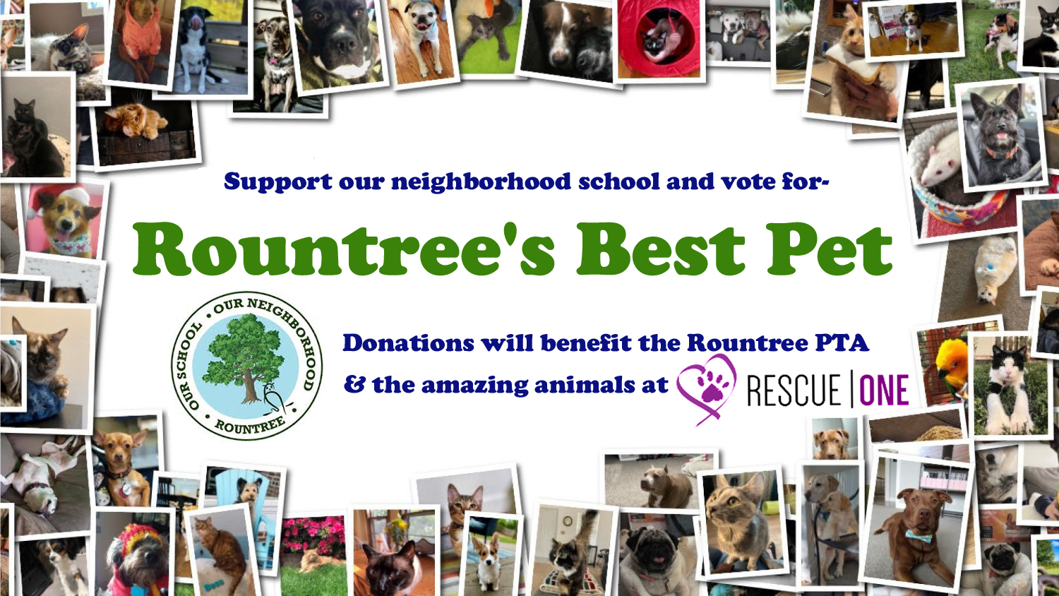 Banner for Rountree’s Best Pet