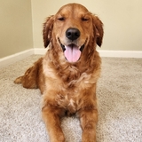 Entry image for Ellie