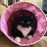 Entry image for Nina