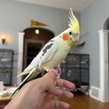 Entry image for June