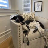 Entry image for Reign 