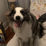 Entry image for Rudy