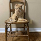 Entry image for Buddy