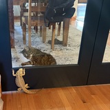 Entry image for Scaley Baby