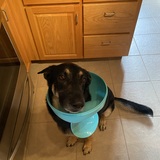 Entry image for Loki