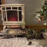 Entry image for Dimble