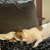 Entry image for Kyle