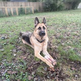 Entry image for Lilli