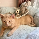 Entry image for Sandy