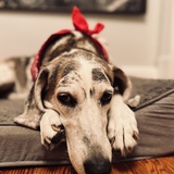 Entry image for Wednesday 