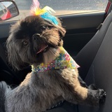 Entry image for Clover