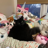 Entry image for Betty Karma 