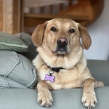 Entry image for Birdie Brown