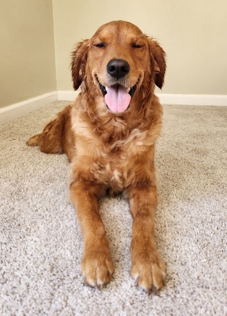 Entry image for Ellie. Clicking this image will show a larger photo