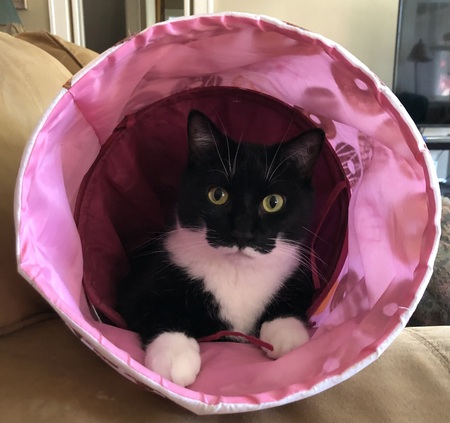 Entry image for Nina. Clicking this image will show a larger photo