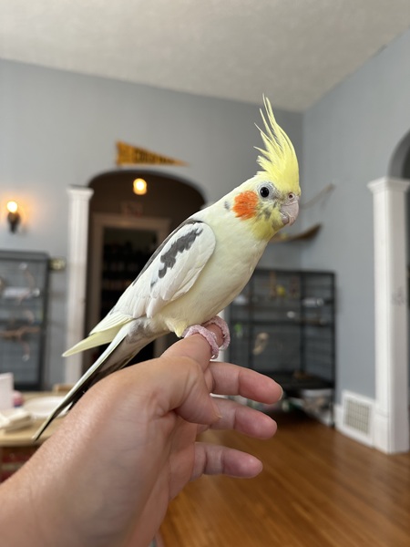 Entry image for June. Clicking this image will show a larger photo