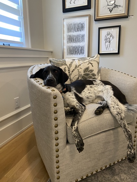 Entry image for Reign . Clicking this image will show a larger photo