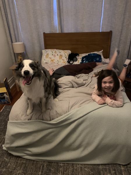 Entry image for Rudy. Clicking this image will show a larger photo