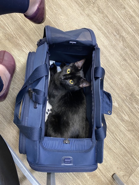 Entry image for William D. Bear. Clicking this image will show a larger photo