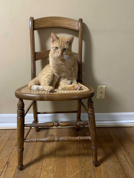 Entry image for Buddy. Clicking this image will show a larger photo