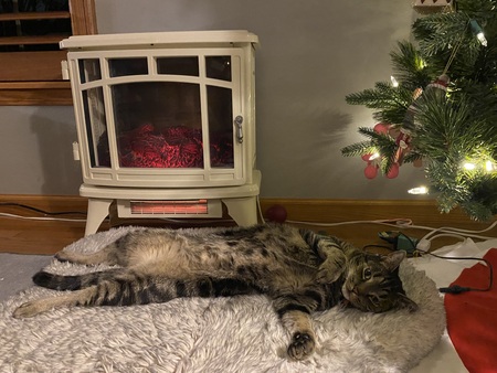 Entry image for Dimble. Clicking this image will show a larger photo