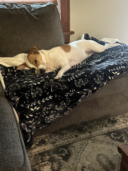 Entry image for Kyle. Clicking this image will show a larger photo