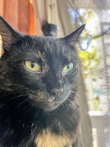 Entry image for Mina. Clicking this image will show a larger photo