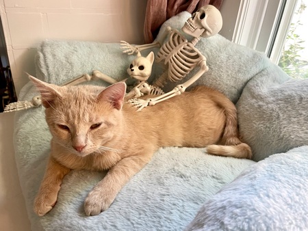 Entry image for Sandy. Clicking this image will show a larger photo