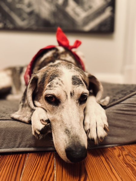 Entry image for Wednesday . Clicking this image will show a larger photo