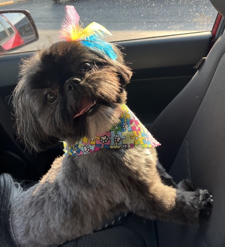 Entry image for Clover. Clicking this image will show a larger photo