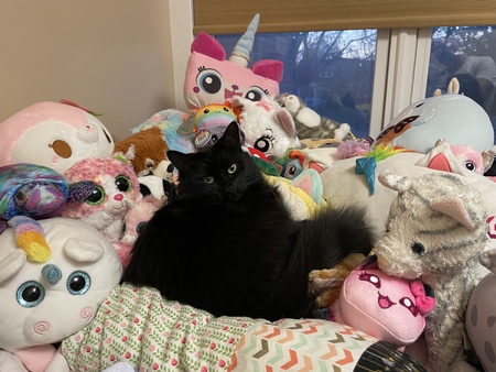 Entry image for Betty Karma . Clicking this image will show a larger photo