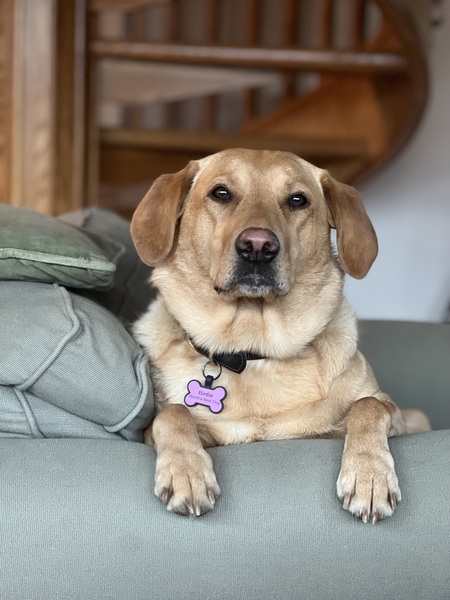 Entry image for Birdie Brown. Clicking this image will show a larger photo