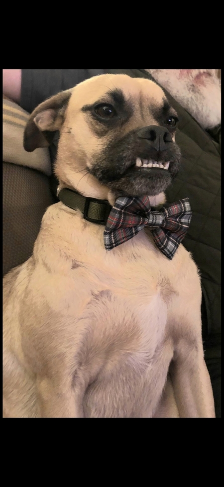 Entry image for Nigel. Clicking this image will show a larger photo