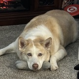 Entry image for Abby