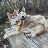 Entry image for Ruby and Evie