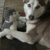 Entry image for Kira