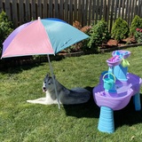 Entry image for Butters 