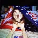 Entry image for Ernie