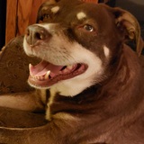 Entry image for Daisy