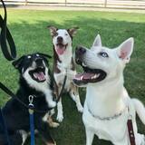 Entry image for Bert, Griffey and Clark