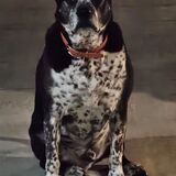 Entry image for Murphee