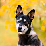 Entry image for Winnie