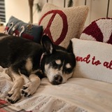 Entry image for Maui