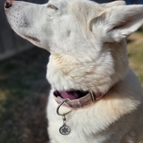 Entry image for Kona