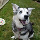 Entry image for Luna