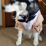 Entry image for Kenai