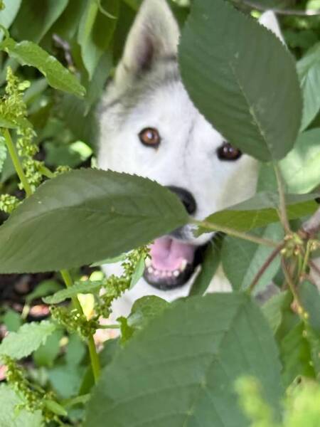 Entry image for Norway. Clicking this image will show a larger photo